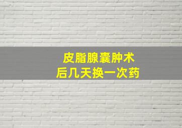 皮脂腺囊肿术后几天换一次药