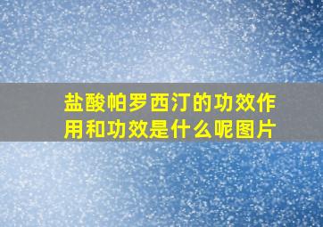 盐酸帕罗西汀的功效作用和功效是什么呢图片