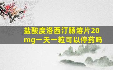 盐酸度洛西汀肠溶片20mg一天一粒可以停药吗