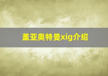 盖亚奥特曼xig介绍