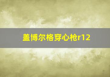 盖博尔格穿心枪r12