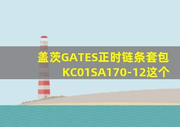 盖茨GATES正时链条套包KC01SA170-12这个