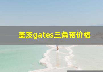 盖茨gates三角带价格