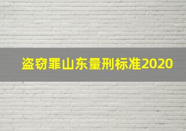 盗窃罪山东量刑标准2020