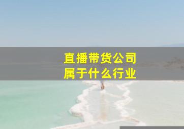 直播带货公司属于什么行业