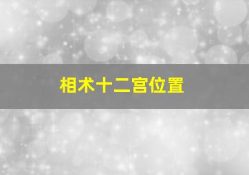 相术十二宫位置