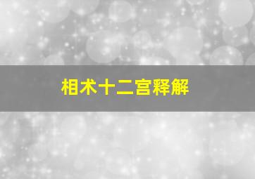 相术十二宫释解