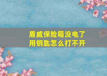 盾威保险箱没电了用钥匙怎么打不开