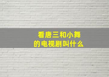 看唐三和小舞的电视剧叫什么