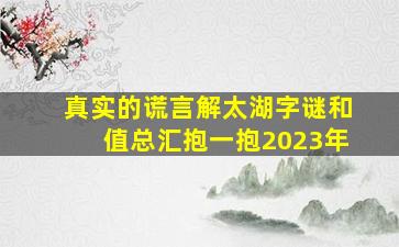 真实的谎言解太湖字谜和值总汇抱一抱2023年