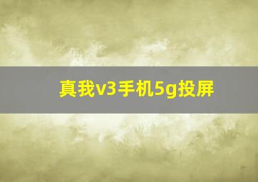 真我v3手机5g投屏