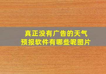 真正没有广告的天气预报软件有哪些呢图片