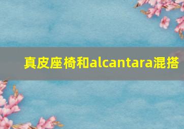 真皮座椅和alcantara混搭