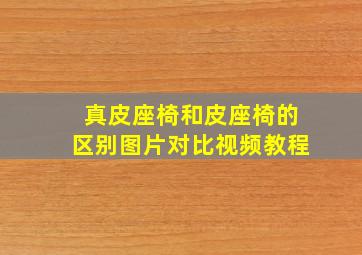 真皮座椅和皮座椅的区别图片对比视频教程