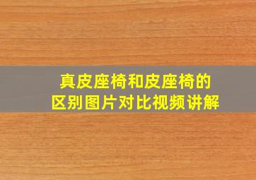 真皮座椅和皮座椅的区别图片对比视频讲解