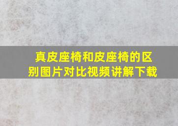 真皮座椅和皮座椅的区别图片对比视频讲解下载