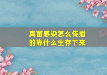 真菌感染怎么传播的靠什么生存下来