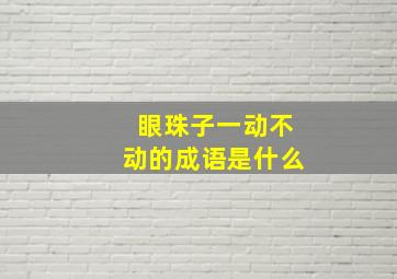 眼珠子一动不动的成语是什么