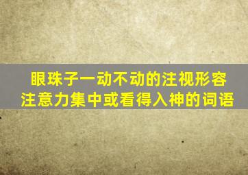 眼珠子一动不动的注视形容注意力集中或看得入神的词语