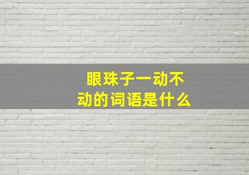 眼珠子一动不动的词语是什么