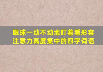 眼球一动不动地盯着看形容注意力高度集中的四字词语