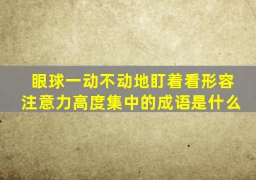 眼球一动不动地盯着看形容注意力高度集中的成语是什么