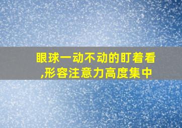 眼球一动不动的盯着看,形容注意力高度集中