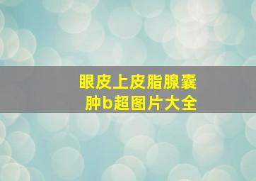 眼皮上皮脂腺囊肿b超图片大全