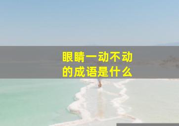 眼睛一动不动的成语是什么