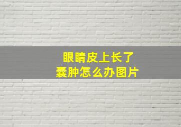 眼睛皮上长了囊肿怎么办图片