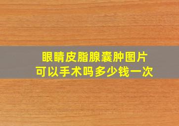 眼睛皮脂腺囊肿图片可以手术吗多少钱一次