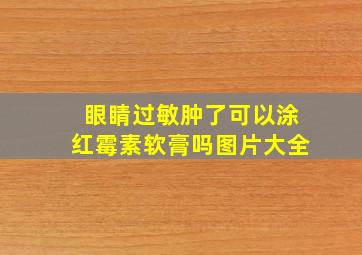 眼睛过敏肿了可以涂红霉素软膏吗图片大全