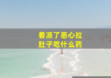 着凉了恶心拉肚子吃什么药