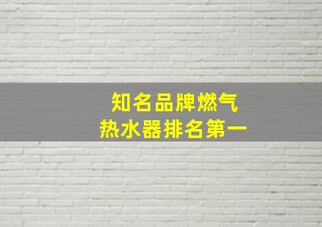 知名品牌燃气热水器排名第一