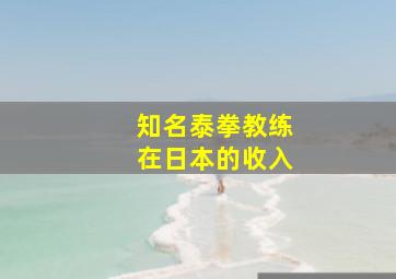 知名泰拳教练在日本的收入