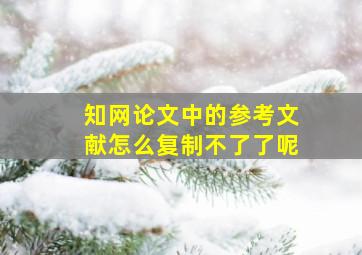 知网论文中的参考文献怎么复制不了了呢