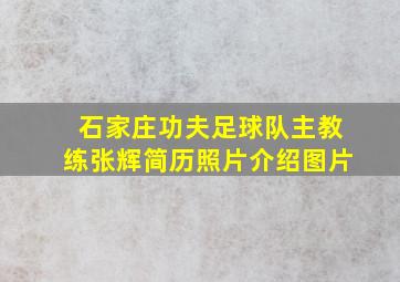 石家庄功夫足球队主教练张辉简历照片介绍图片