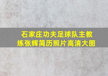 石家庄功夫足球队主教练张辉简历照片高清大图