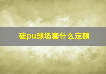 硅pu球场套什么定额