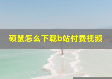 硕鼠怎么下载b站付费视频