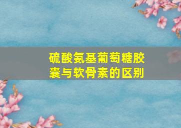 硫酸氨基葡萄糖胶囊与软骨素的区别