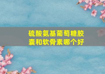 硫酸氨基葡萄糖胶囊和软骨素哪个好