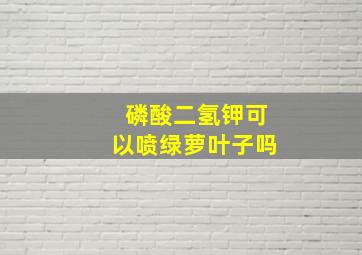 磷酸二氢钾可以喷绿萝叶子吗