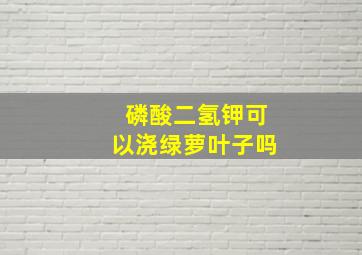 磷酸二氢钾可以浇绿萝叶子吗