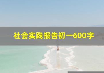 社会实践报告初一600字