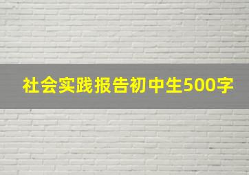 社会实践报告初中生500字