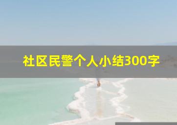 社区民警个人小结300字