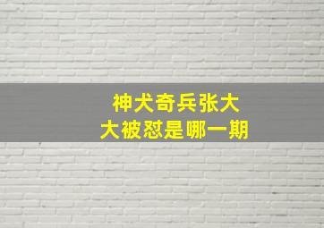 神犬奇兵张大大被怼是哪一期