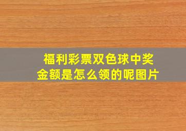 福利彩票双色球中奖金额是怎么领的呢图片