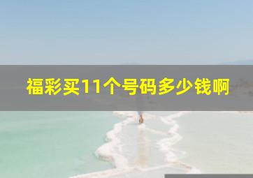 福彩买11个号码多少钱啊